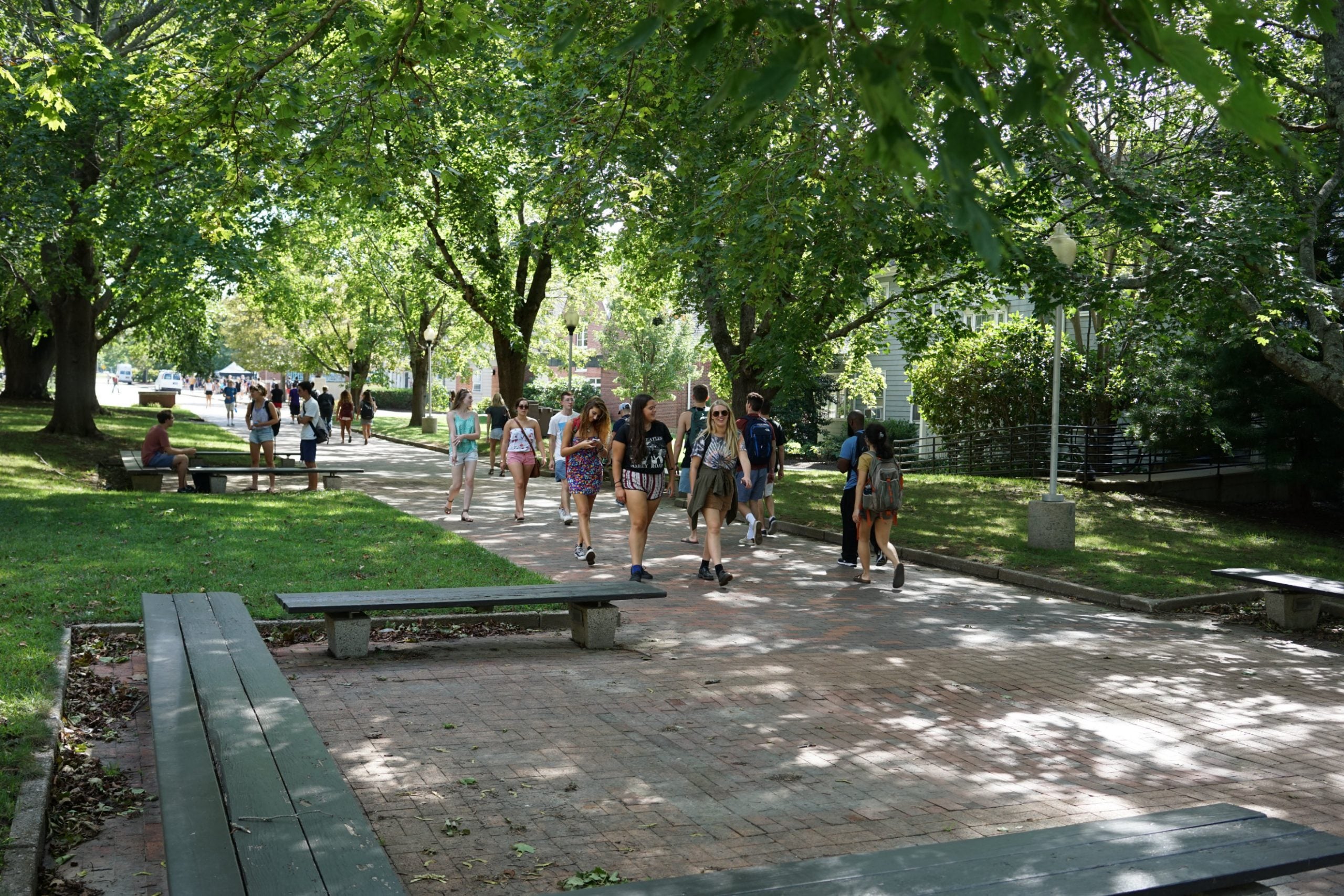 Students on the pathway in front of the library in the Kingston campus