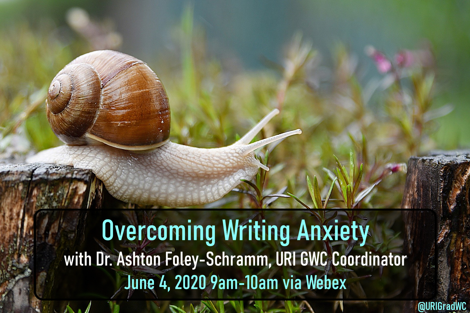 title image of a snail stretching across two logs for Overcoming Writing Anxiety workshop in June 2020