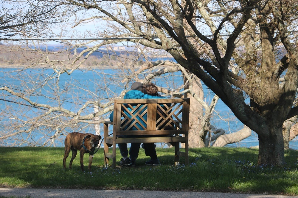 Couple on a bench with a dog, overlooking Narragansett Bay.