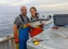 Captain Joe Letourneau of the F/V Lady Rebecca and Mercer with an Atlantic Pollock (Pollachius pollachius) caught off Newburyport, MA.