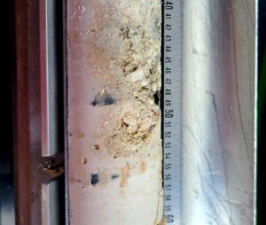 close up of core sample