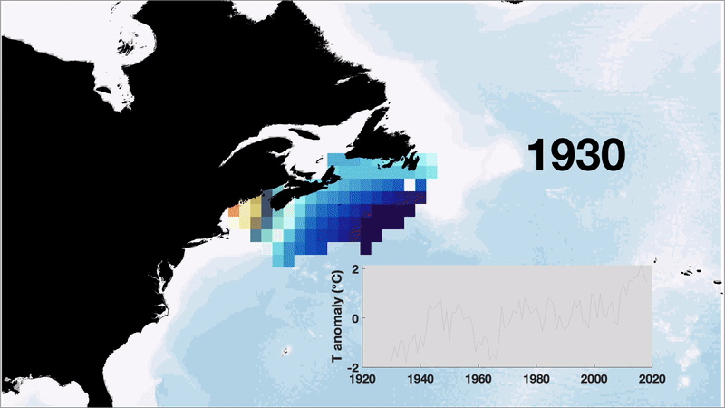 An animated map and time series (same color convention) of the 2008 temperature anomaly on the Northwest Atlantic Shelf, highlighting the rapid warming in the most recent decade.
