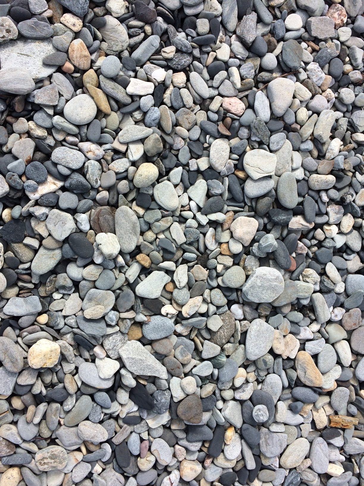 Closeup of beach pebbles.