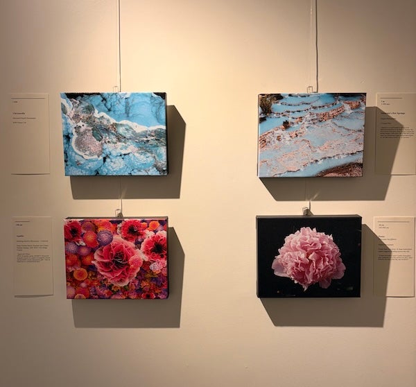 A set of four images on the walls of the Studio Blue Gallery