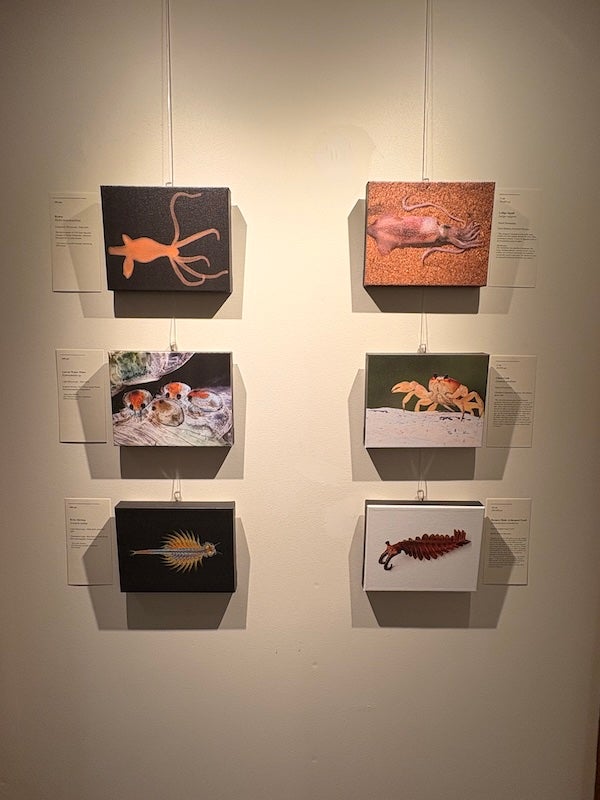 A set of six images on the wall in the Studio Blue Gallery.