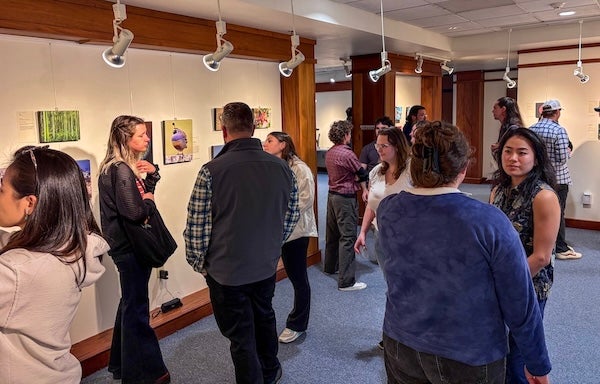 A crowd inside the Studio Blue Gallery, all are involved in small group conversations.