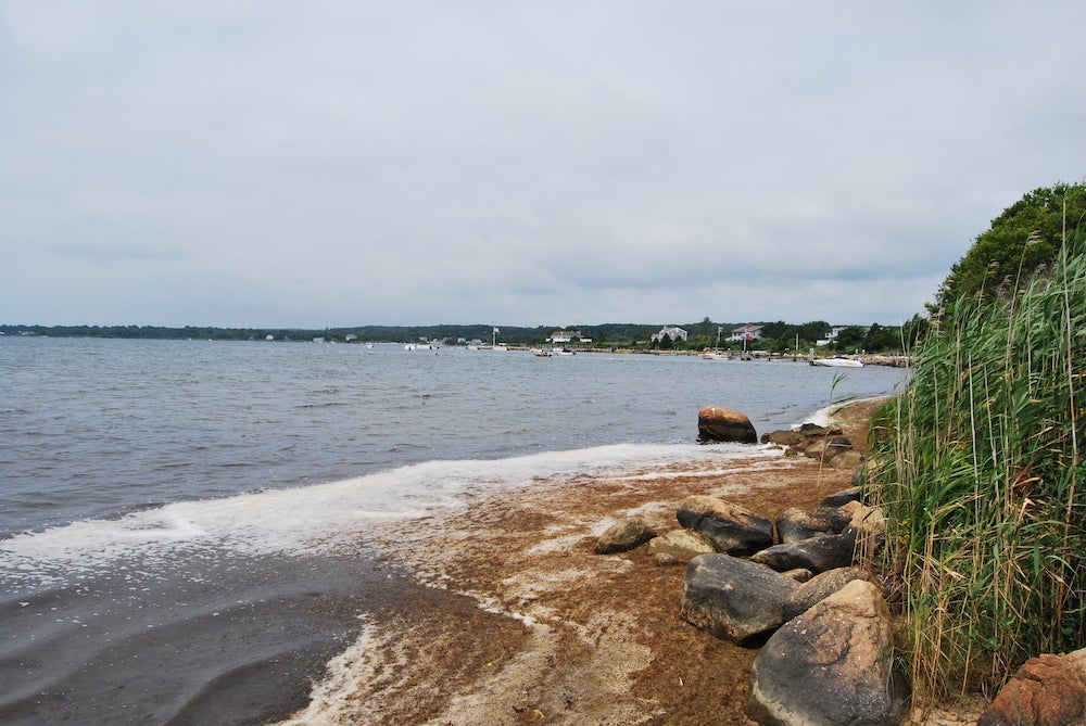 View from the shoreline of Ninigret Pond in Rhode Island.
