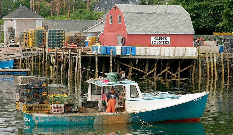 Lobsterman on boat near dock