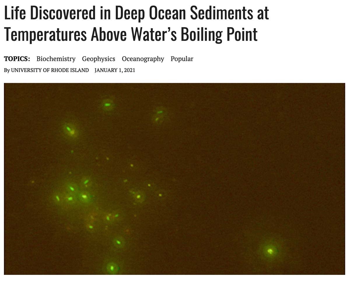 Screenshot of article, shows green single celled organisms