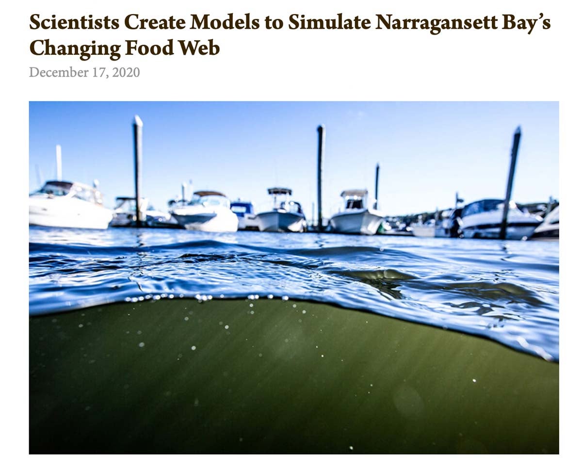 Screenshot of article, shows image of half underwater shot of a dock