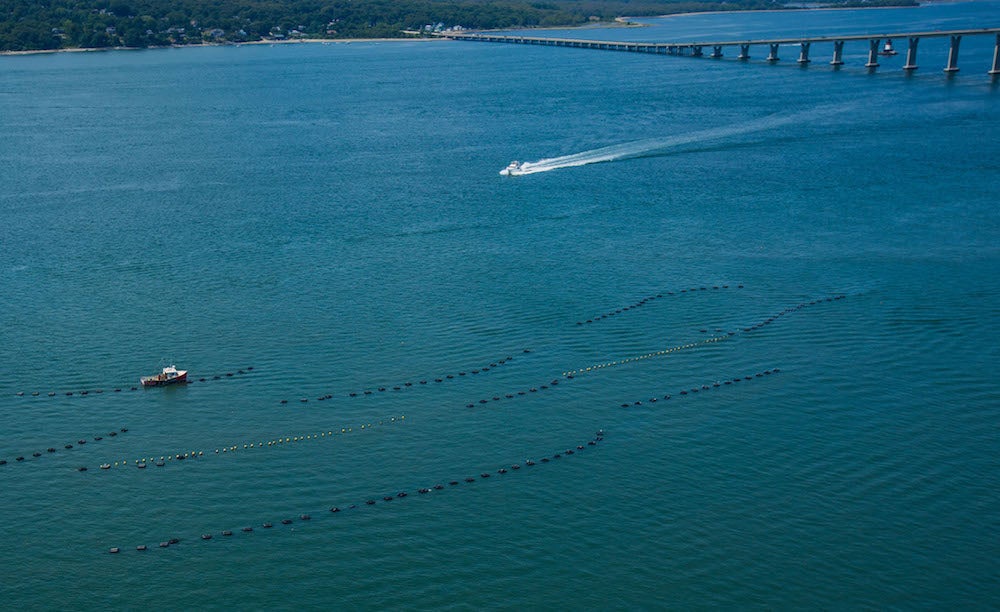 Aerial photo of an oyster farm in Narragansett Bay.