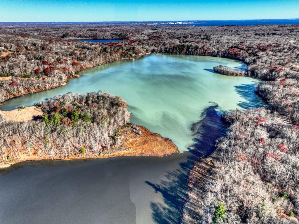 Aerial view of Upper Pond shows effect of overturn