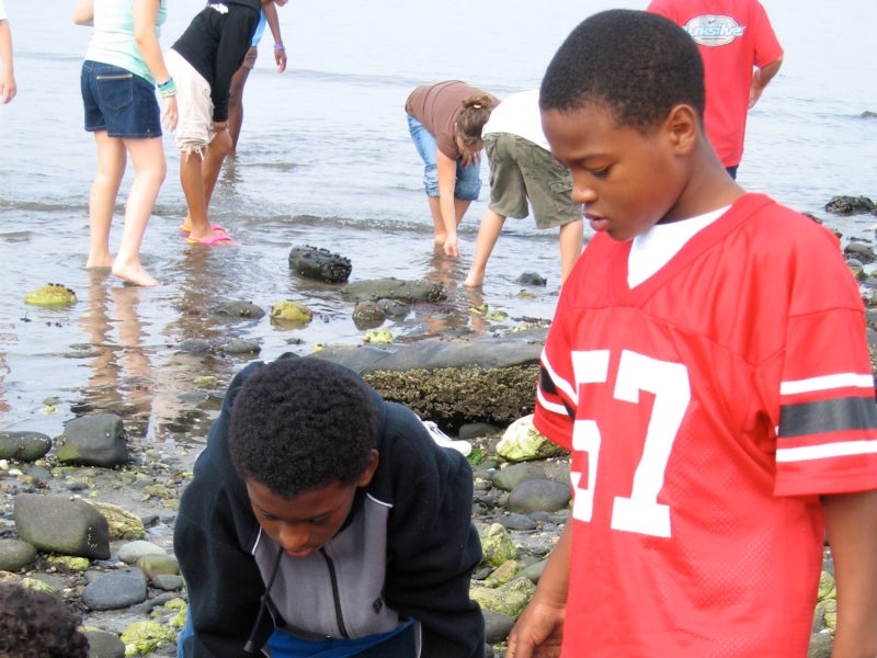 Young students exploring the shoreline on a warm day.