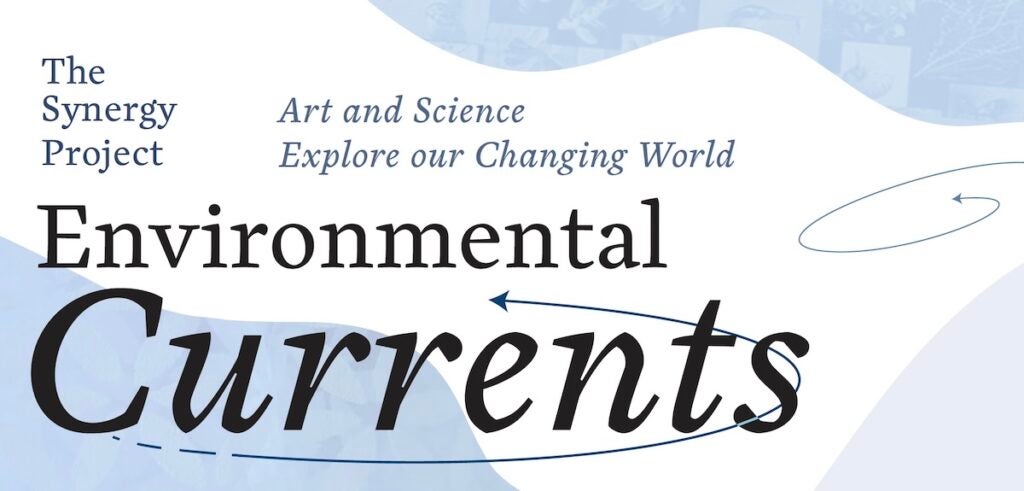 The Synergy Project; Art and Science Explore our Changing World; Environmental Currents