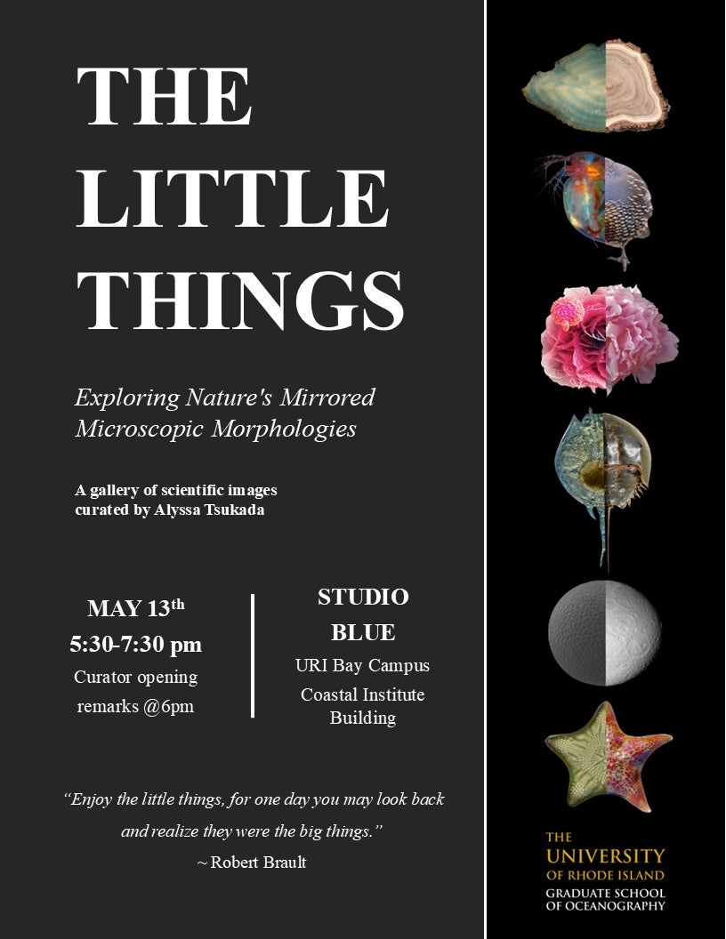 Poster promoting the art exhibit called The Little Things