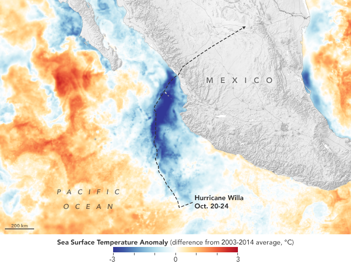 A map showing sea surface temperature anomalies in the wake of Hurricane Willa.