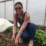 Image of Yuvi Cambero, an Honors alumni, working in one of URI's greenshouses