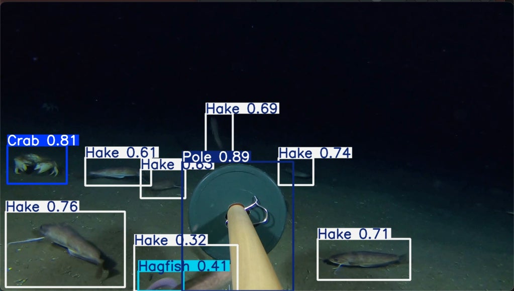 Underwater video annotated with detection boxes, species labels, and confidence scores for fish and a crab.