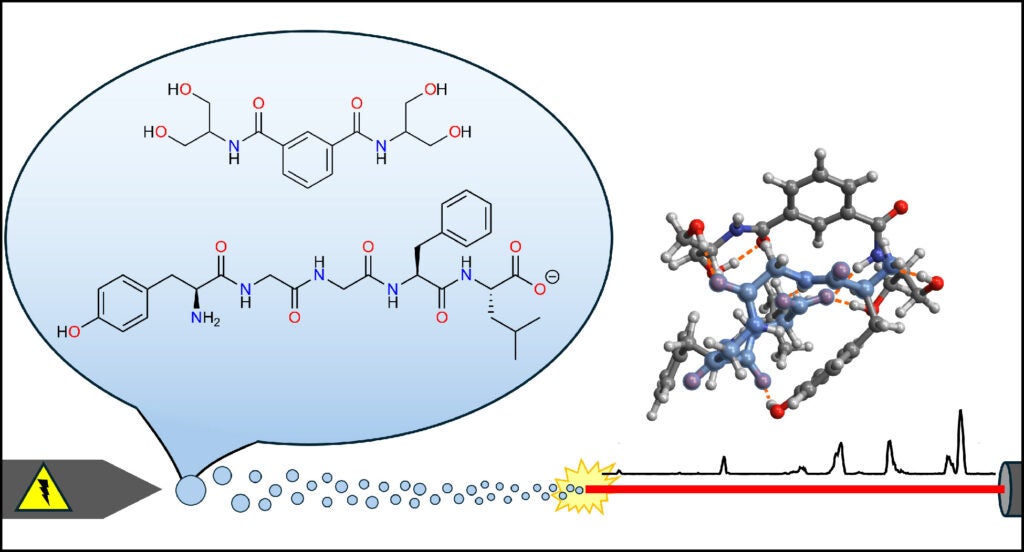 Illustration of electrospray ionization of a mixture of diserinol isophthalamide and the peptide YGGFL. A structure of the anionic complex between these molecules is shown, along with an infrared spectrum.