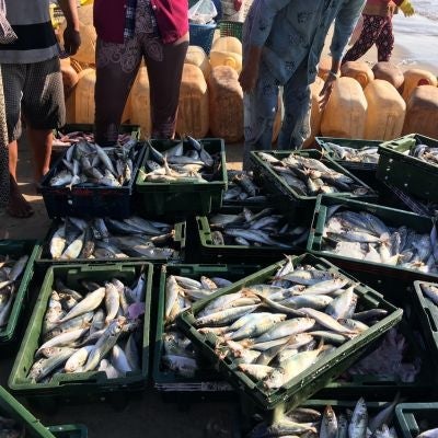 fish market