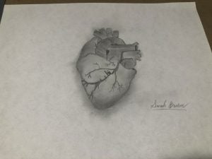 The Arabic word 'heart' rendered as blood vessels in a rendering of a human heart, by Sarah Barber