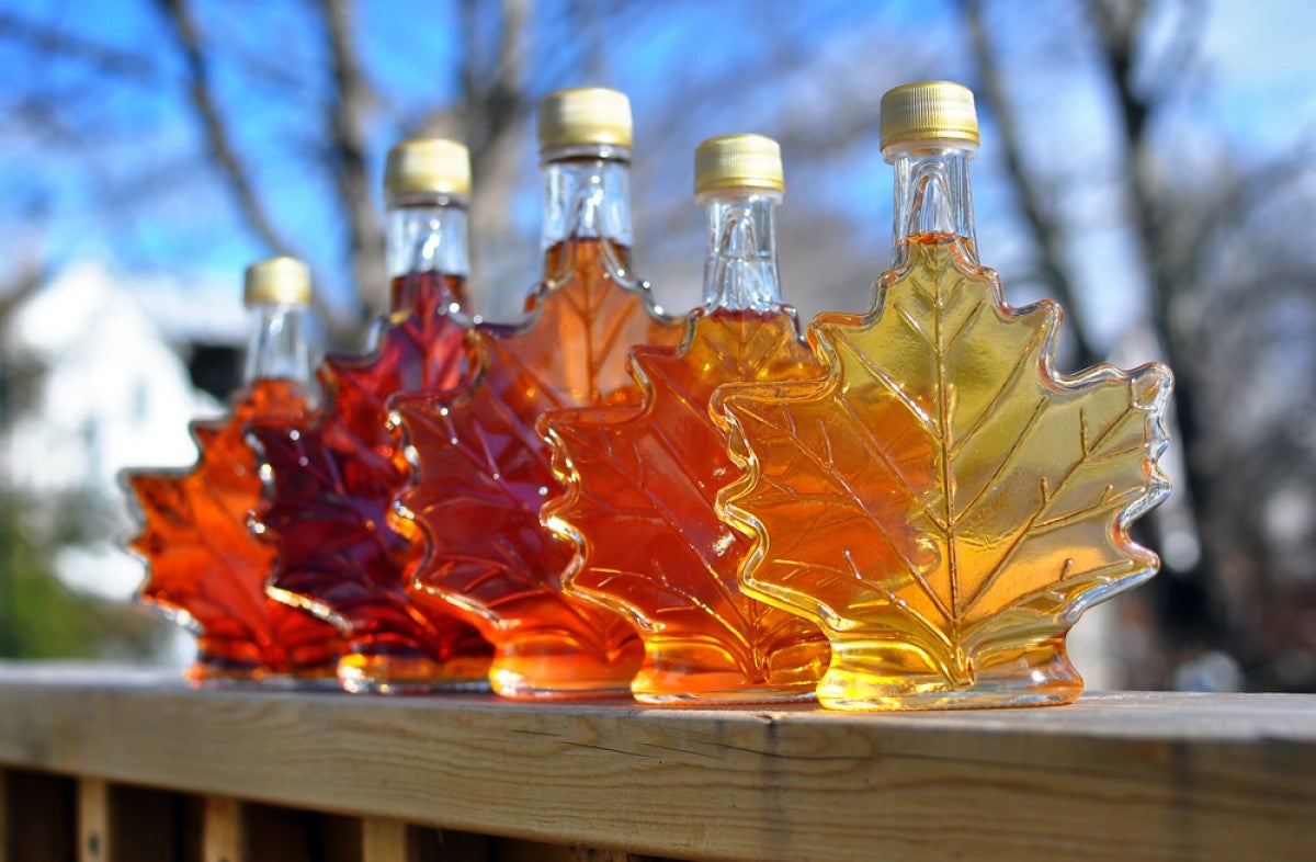 Maple Syrup and Its Geographic Location – Maple