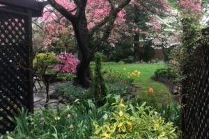 City Garden Renewed