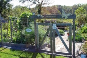 The Good Gardens at the Norman Bird Sanctuary 