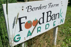 Borders Farm