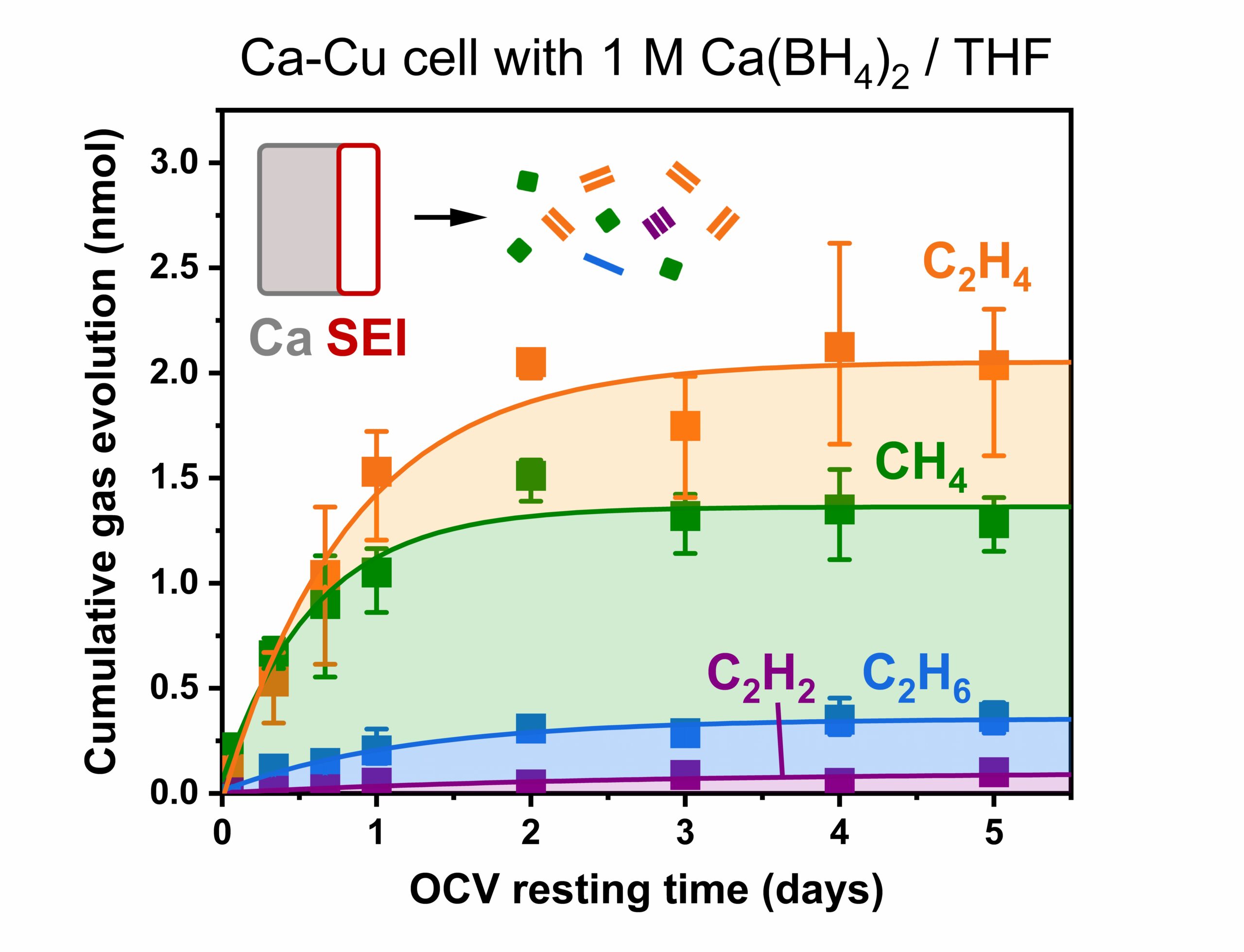 Gas evolution marks SEI formation dynamics on a calcium metal anode