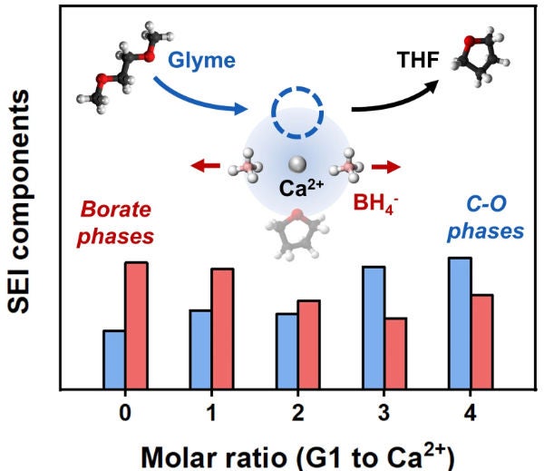 Differential coordination of calcium cations impacts SEI composition.
