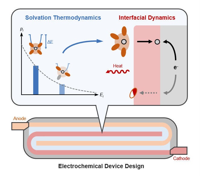 Solvation thermodynamics in the electrolyte impact interfacial dynamics at the electrode. Fundamental insights in these areas will inform electrochemical device design