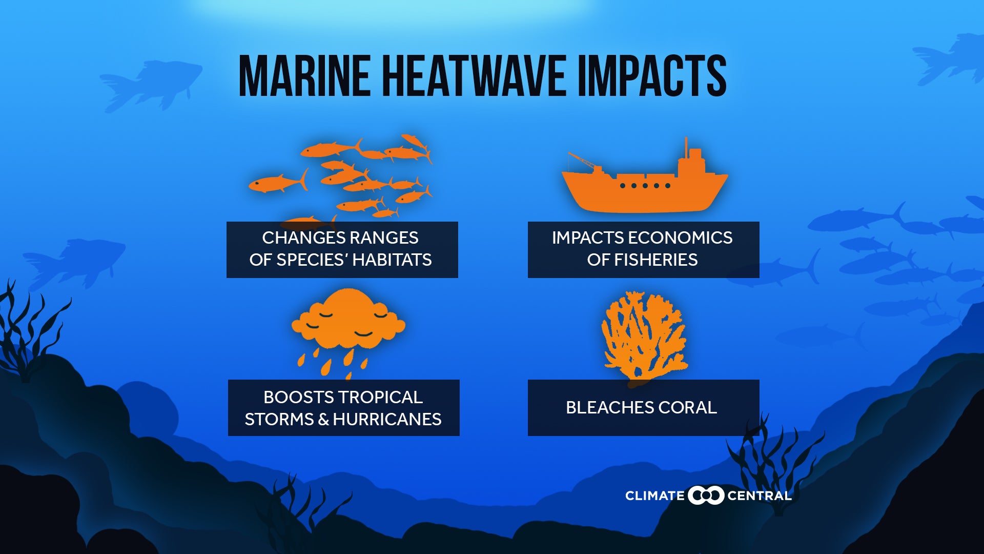 Graphic created by Climate Central shows marine heat wave impacts as small images against a dark blue background that is designed to represent the ocean. The impacts are 1) changes ranges of species' habitats, 2) impacts economics of fisheries, 3) boosts tropical storms and hurricanes, and 4) bleaches coral.