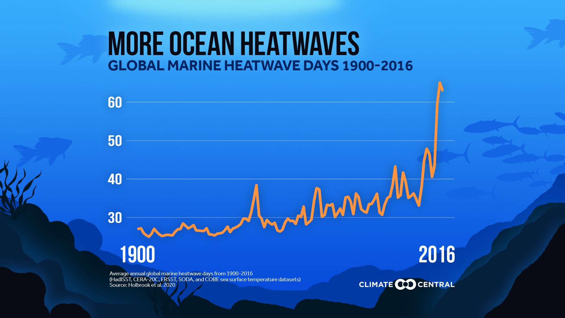 Graphic created by Climate Central shows increasing frequency of marine heat waves as a line graph against a dark blue background that is designed to represent the ocean. The graph shows data from 1900 to 2016, with a spike in the occurrence of marine heat waves in recent years.