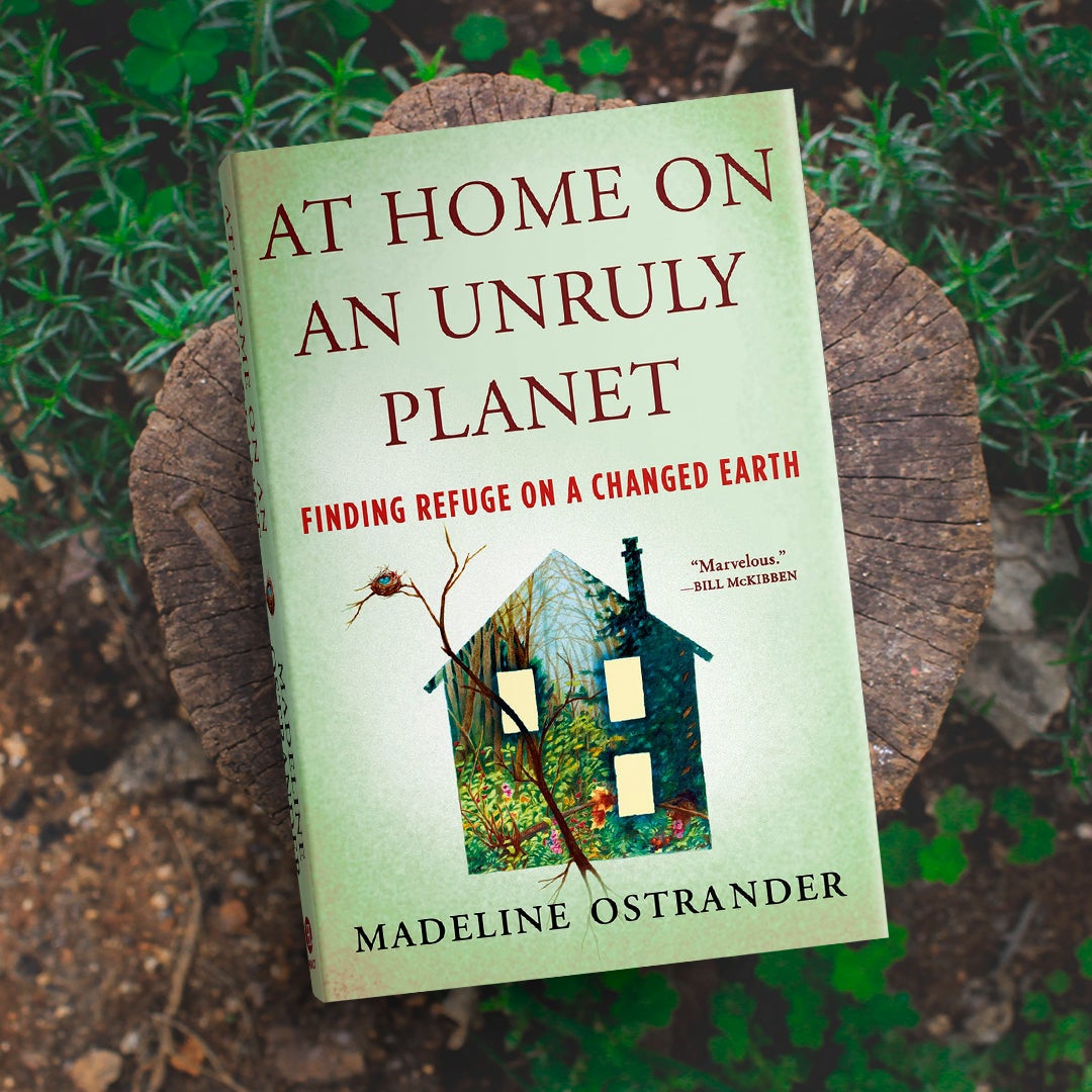 The book "At home on an unruly planet" atop a wooden stump