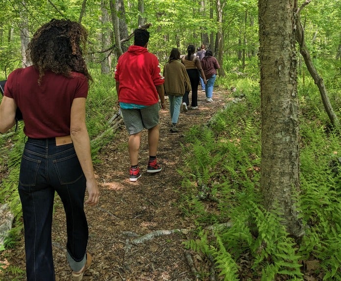 Six people walking on a path through lush ferns, facing away from the camera.