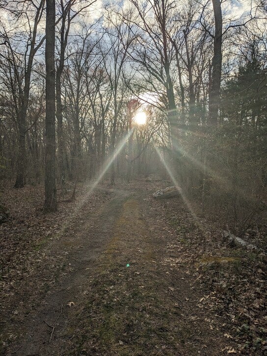 Bright sunlight streaming through trees over a wide trail.