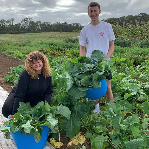 Nutrition students smiling while harvesting leafy vegetables