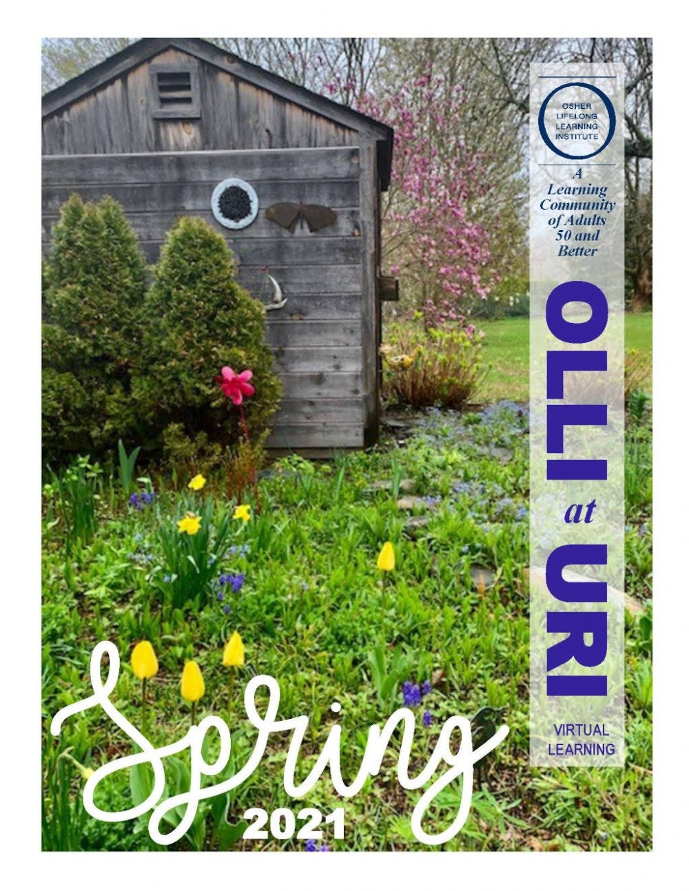Spring 2021 Catalog Osher Lifelong Learning Institute (OLLI)