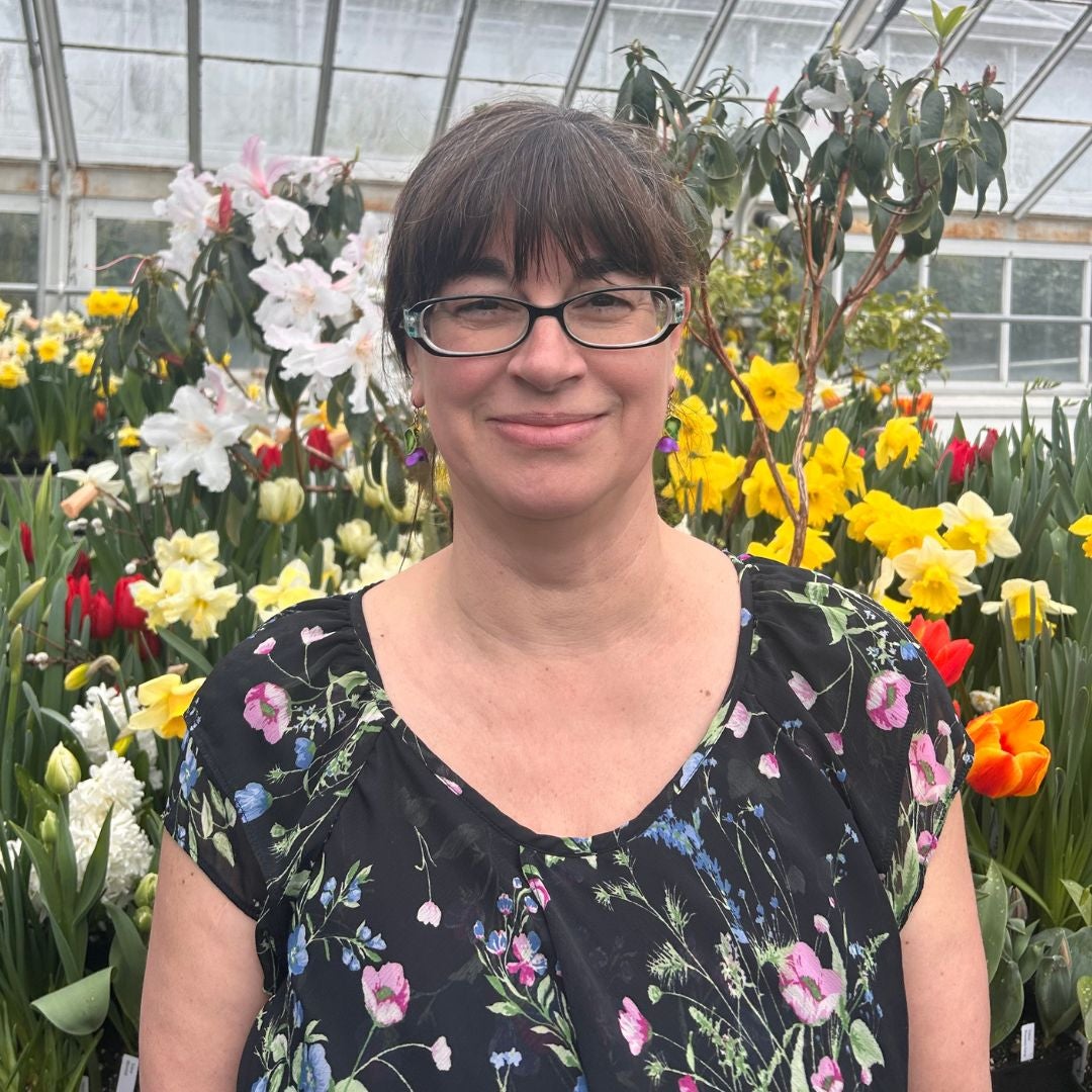 Headshot of April Bellafiore