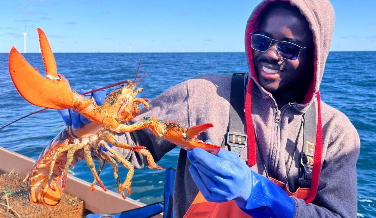 The image shows a person on a boat holding a large, vibrant orange lobster. The individual is wearing a brown hoodie with red drawstrings, blue gloves, and protective overalls while smiling at the lobster. The lobster is held up in the foreground with its claws prominently displayed. The background features a calm blue ocean with several wind turbines visible on the horizon under a clear blue sky.