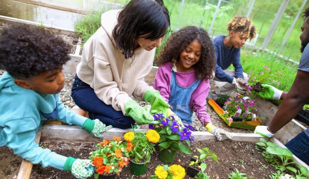 A gardener shows students how to plant a flower in a local garden.
