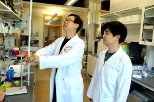Professor Xinyuan Chen and Ph.D. student Yiwen Zhao work in Chen’s lab on a virus-like particle platform they hope will help lead to a universal flu vaccine.
