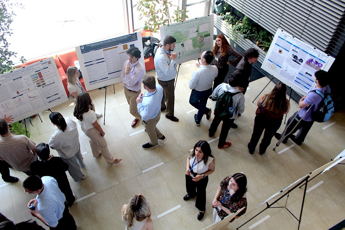 Pharmacy students detail their research projects for professors, fellow students, and passers-by in the lobby of Avedisian Hall during the College of Pharmacy's annual Research Showcase.