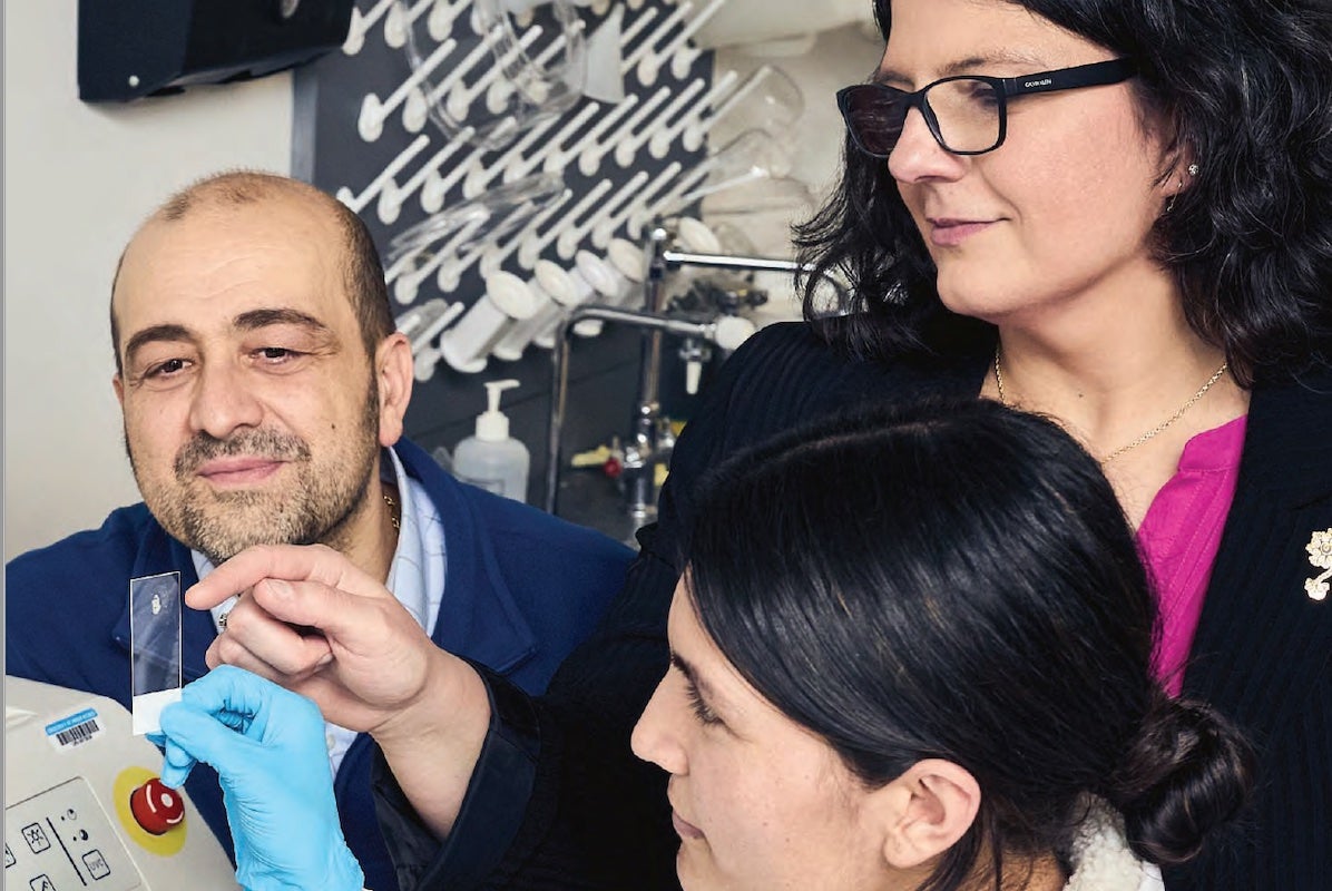 Pharmacy and neuroscience Professors Jaime Ross (right) and Giuseppe Coppotelli observe a cryosectioned brain slice alongside Ph.D. student Sajida Bibi.