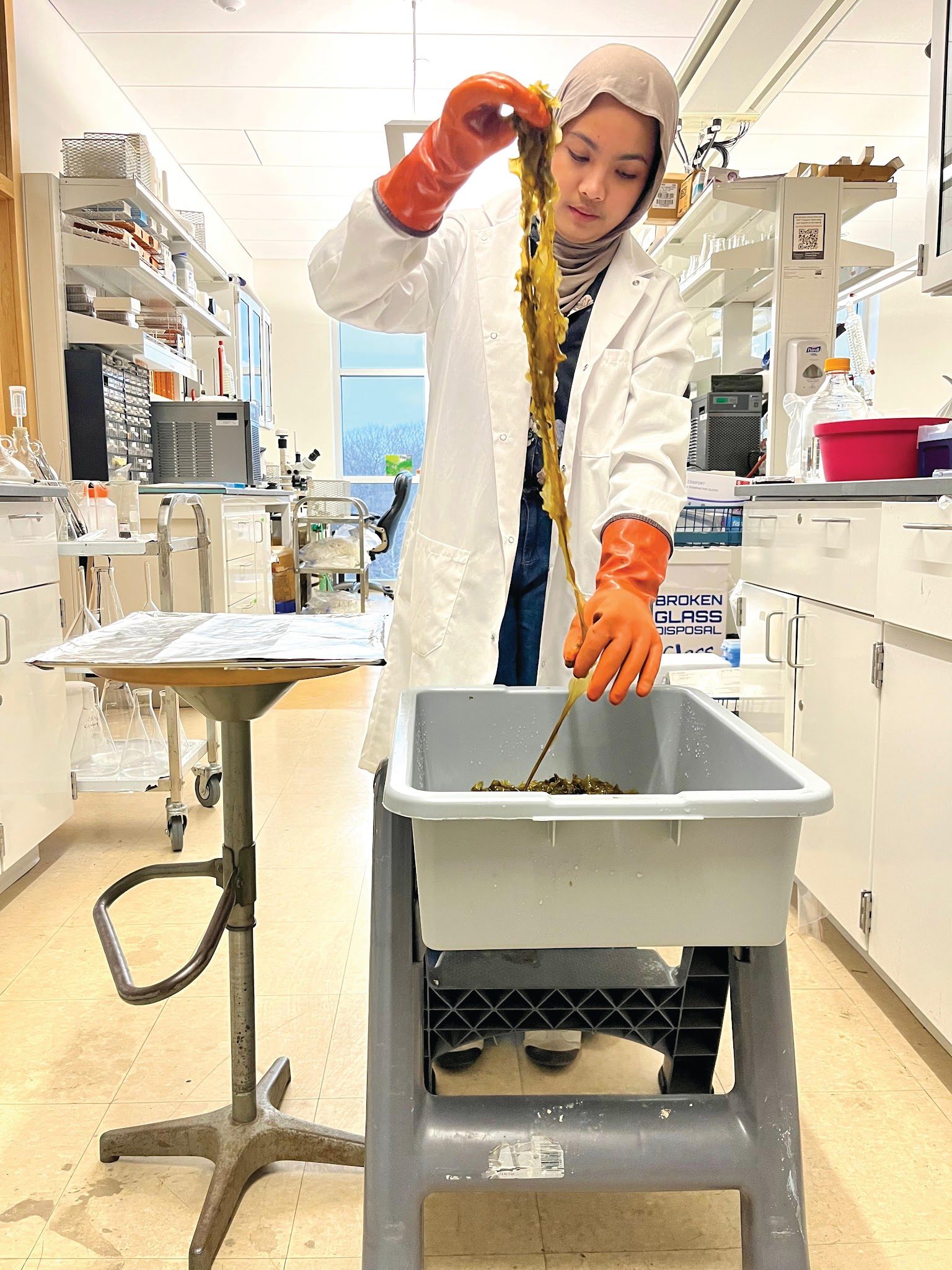 Additional image related to seaweed research or international collaboration.