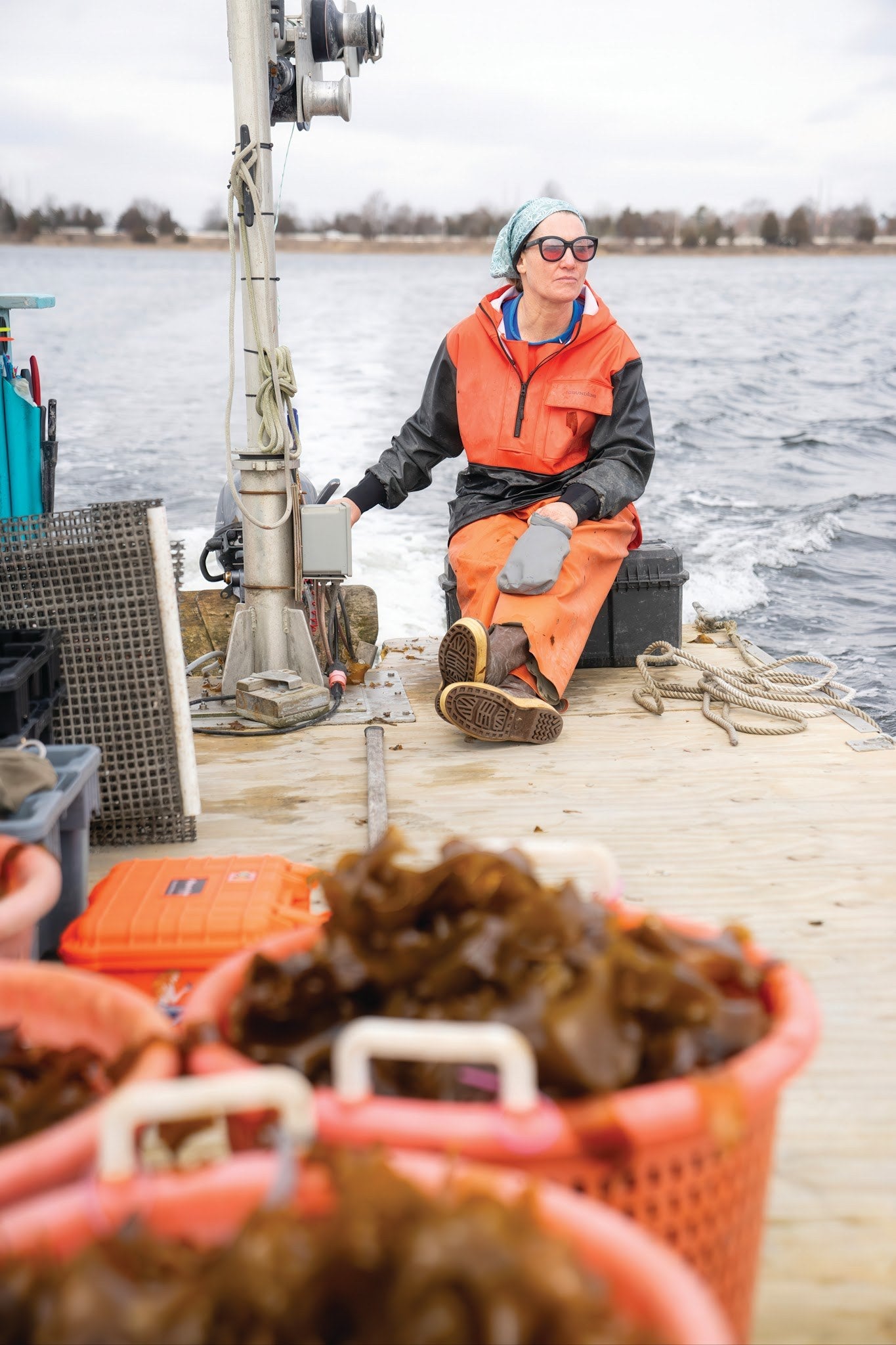 Additional image related to seaweed research or international collaboration.