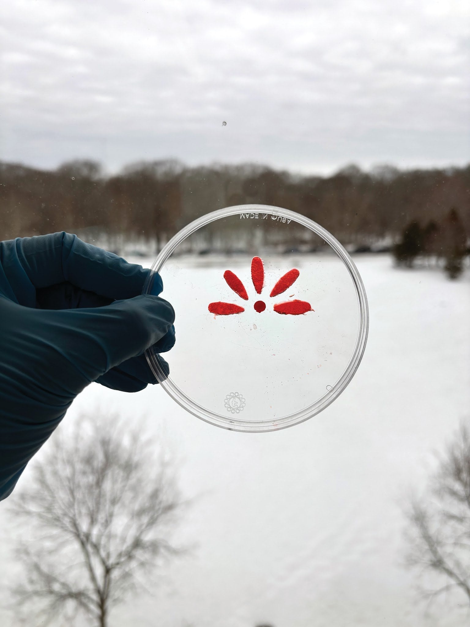 Additional image related to RNA technology or biomaterials research.