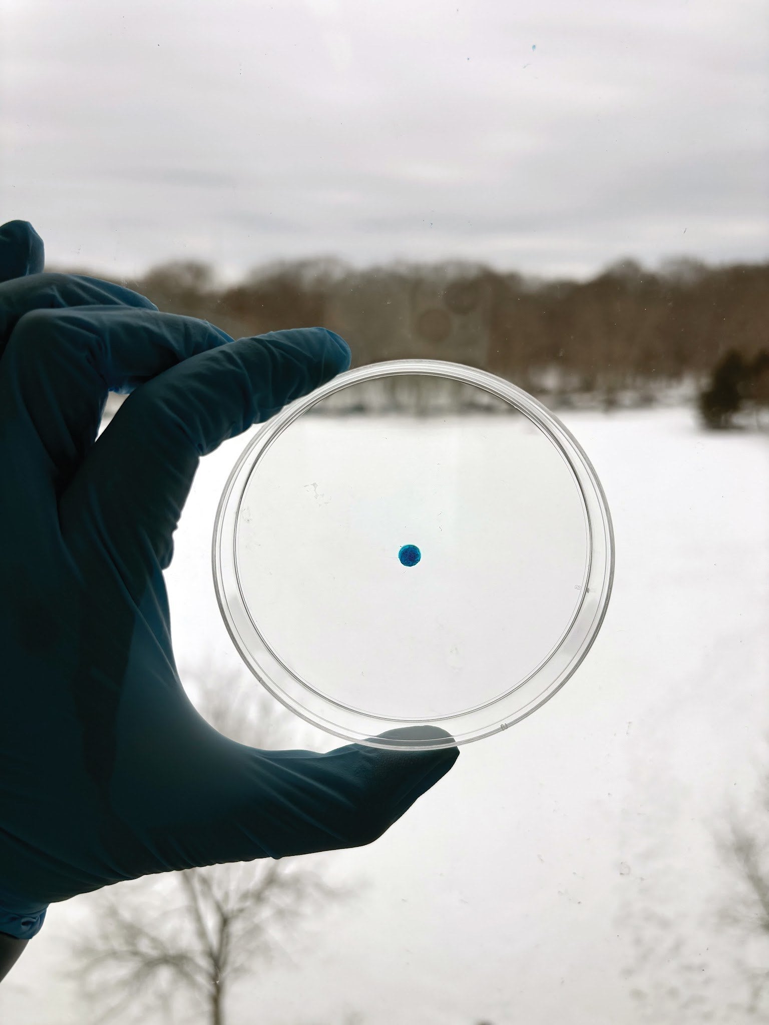 Additional image related to RNA technology or biomaterials research.