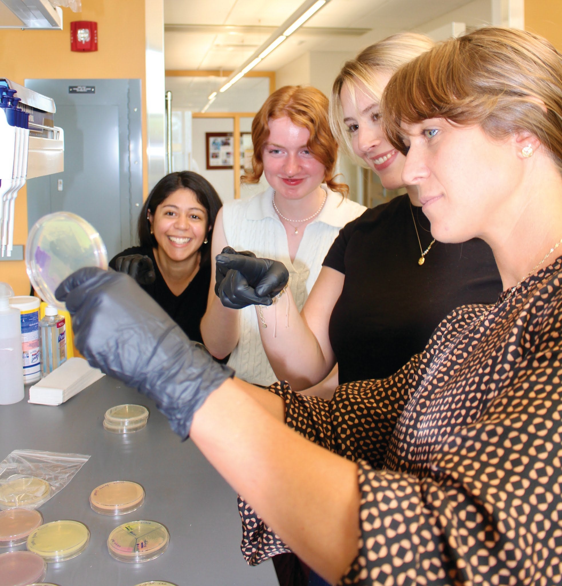 Additional image related to microbiome editing or antimicrobial research.
